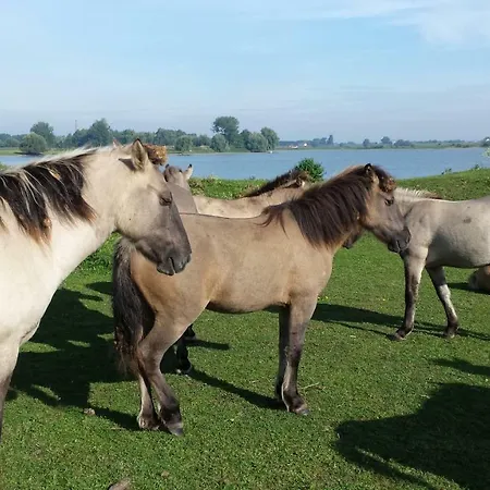 Maas En Waal Bed & Breakfast *