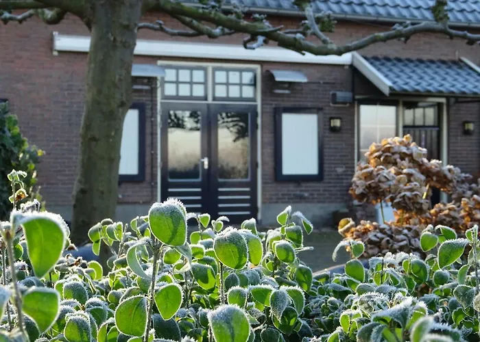 Maas En Waal Beuningen (Gelderland)
