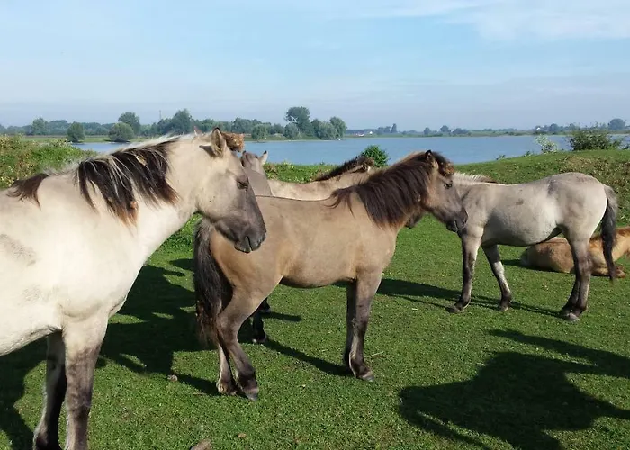 Maas En Waal Couette-café 3*